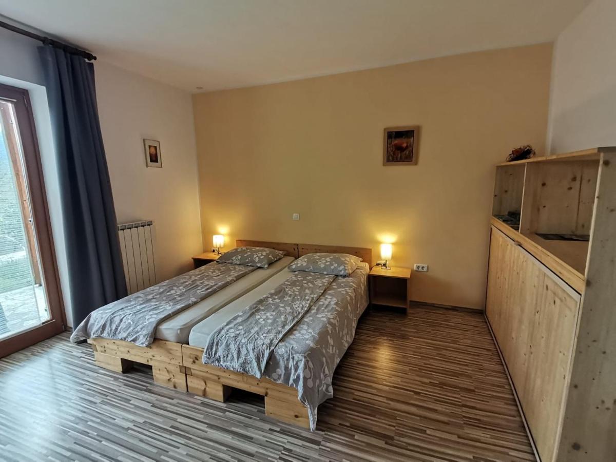 Apartment Rakuscek *