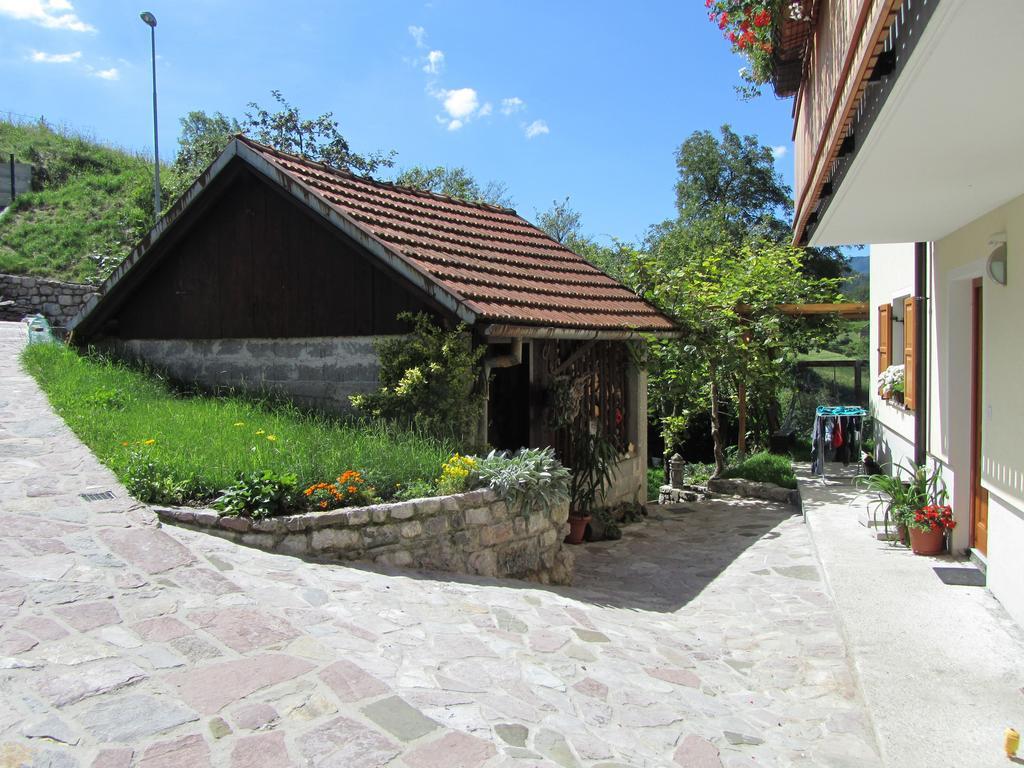 Rakuscek Apartment